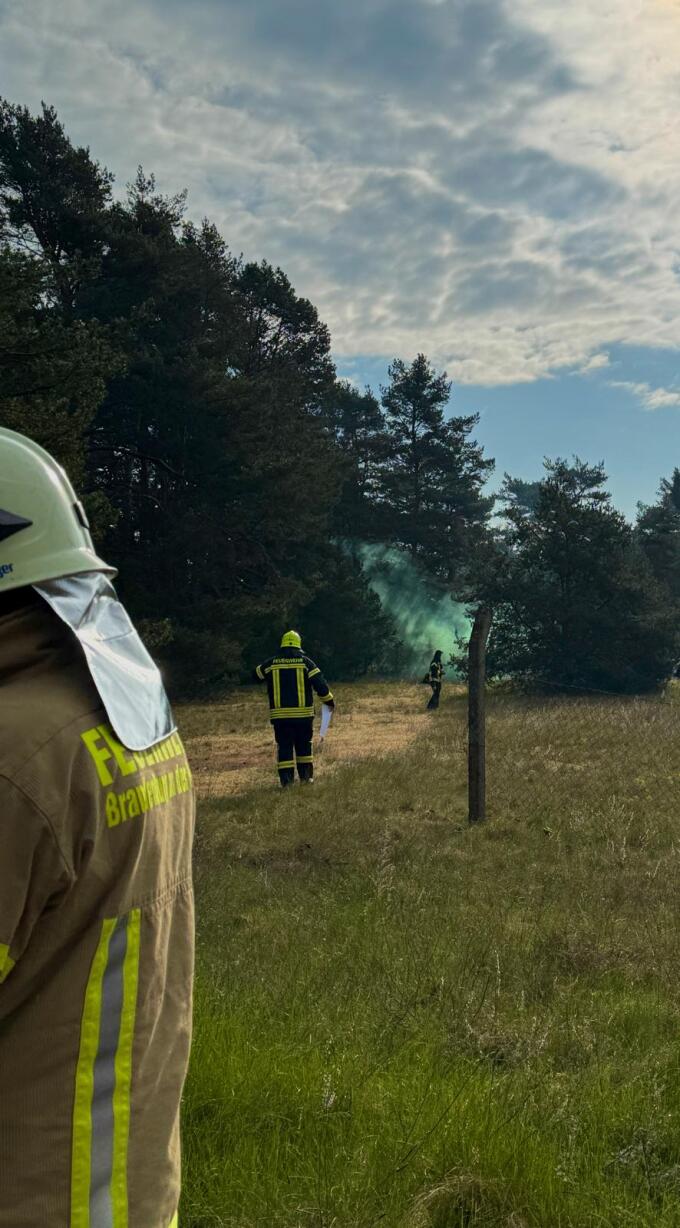 Aus der Vegetation steigt künstlicher Rauch für reale Übungsbedingungen auf